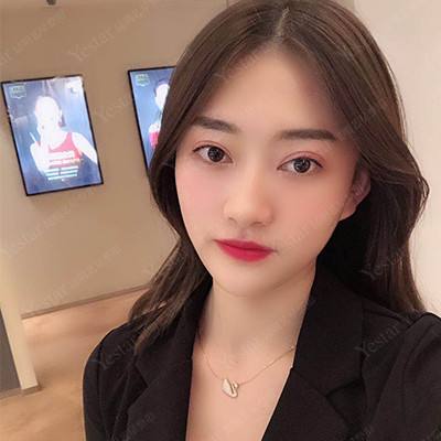flashdog汉化版下载
